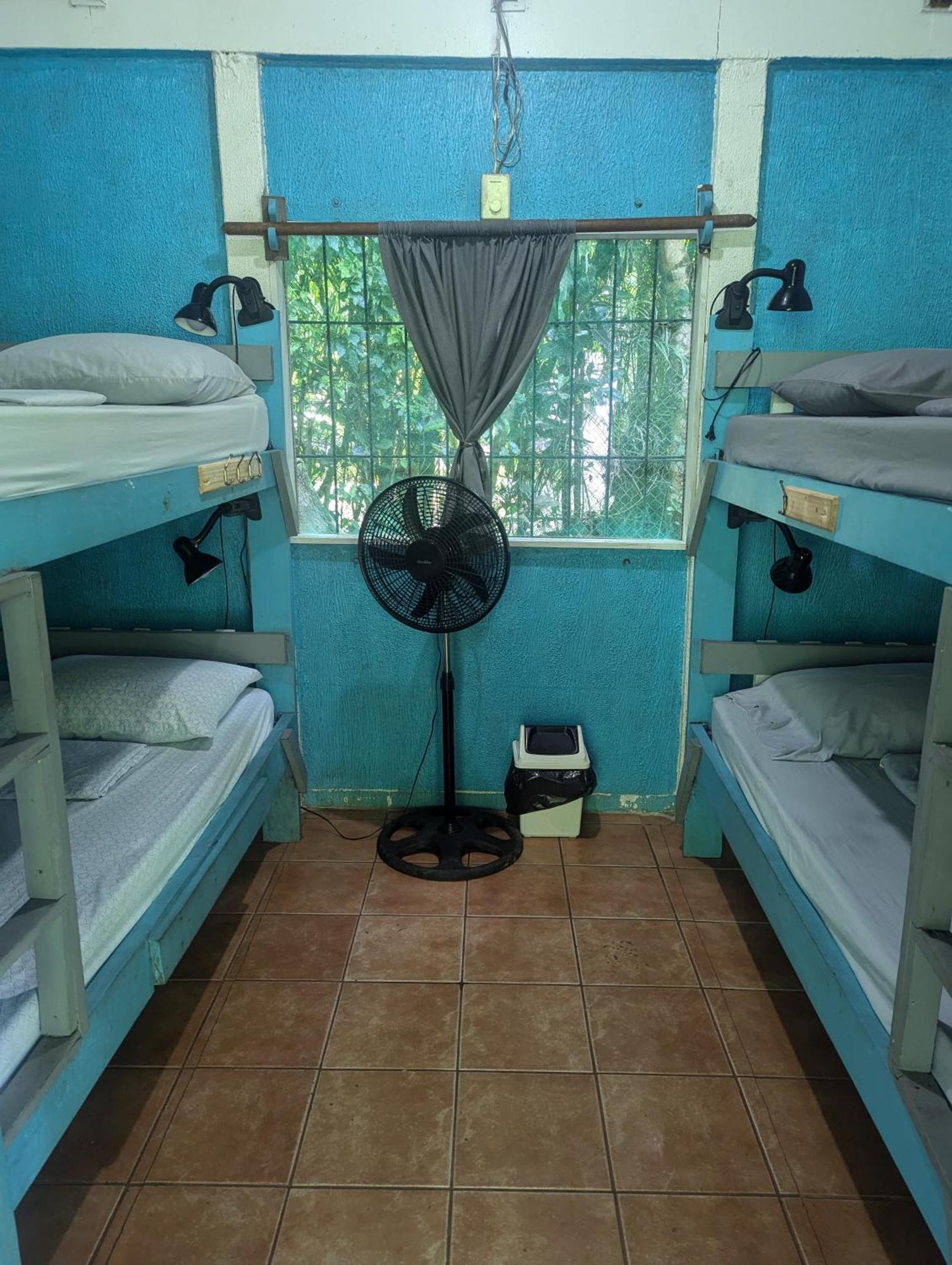 Tasty Dayz Hostel Puerto Viejo de Talamanca Ngoại thất bức ảnh