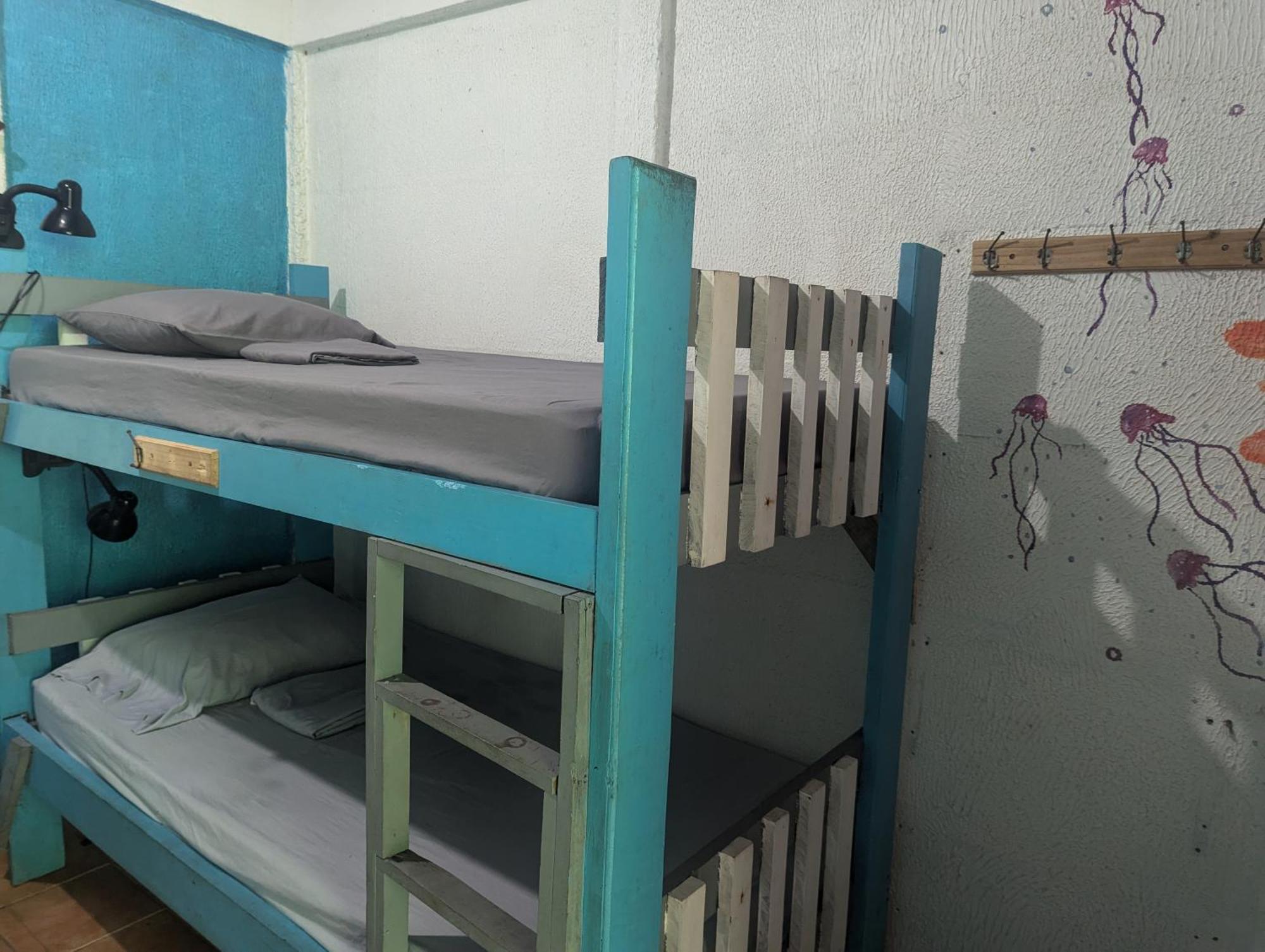Tasty Dayz Hostel Puerto Viejo de Talamanca Ngoại thất bức ảnh