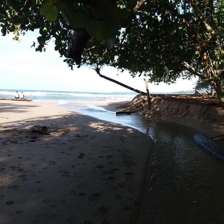Tasty Dayz Hostel Puerto Viejo de Talamanca Ngoại thất bức ảnh