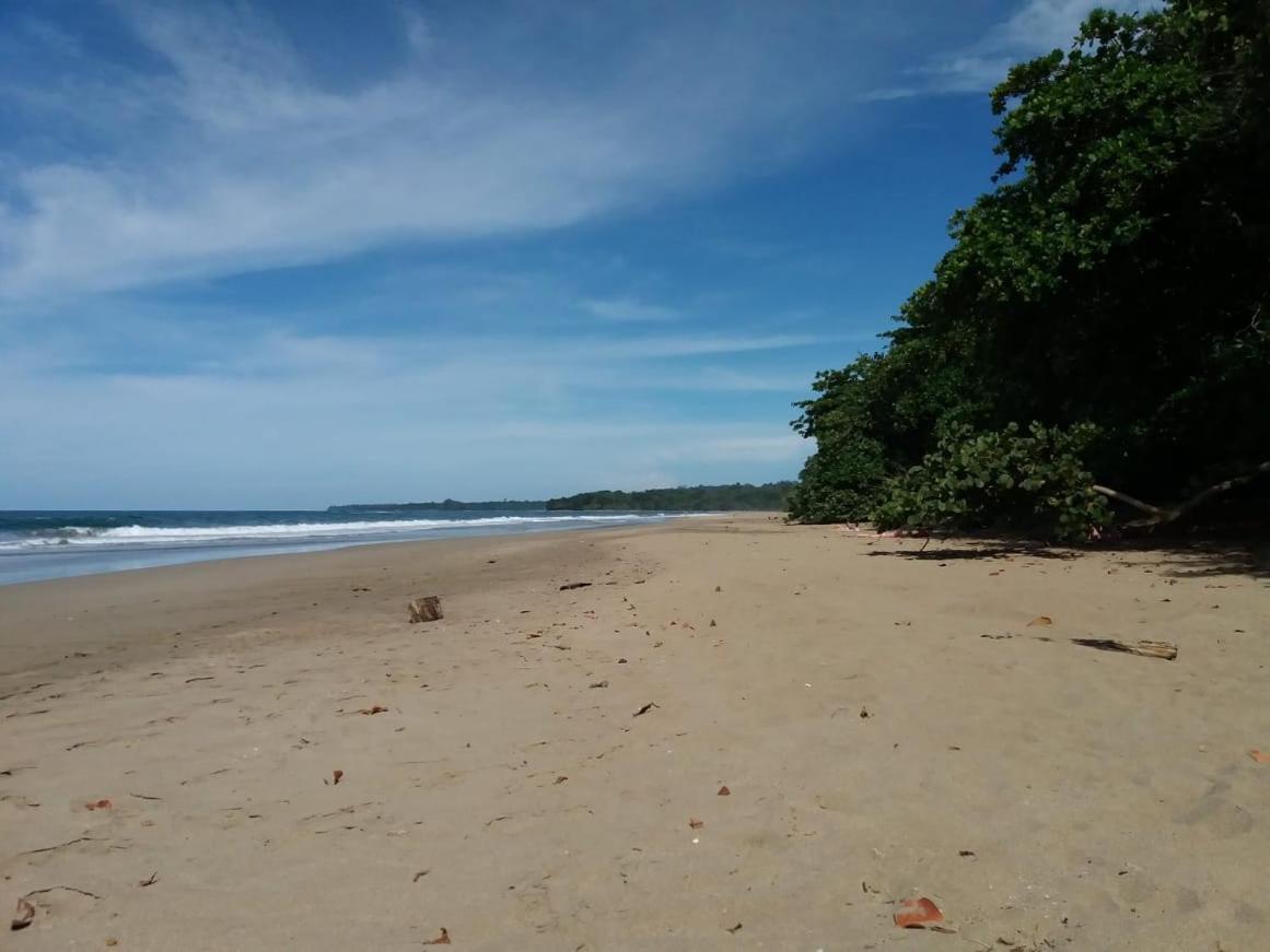 Tasty Dayz Hostel Puerto Viejo de Talamanca Ngoại thất bức ảnh