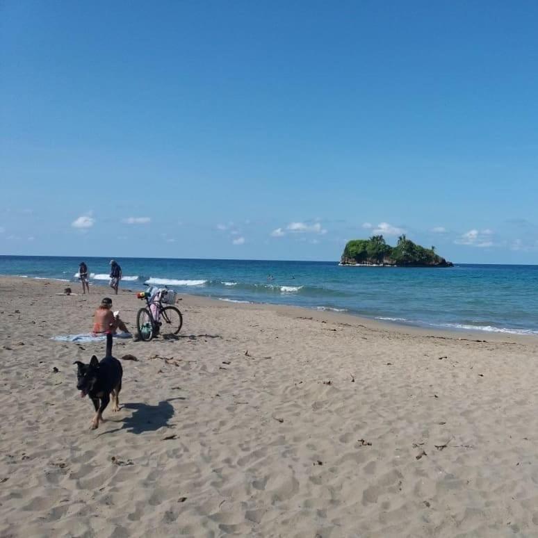 Tasty Dayz Hostel Puerto Viejo de Talamanca Ngoại thất bức ảnh