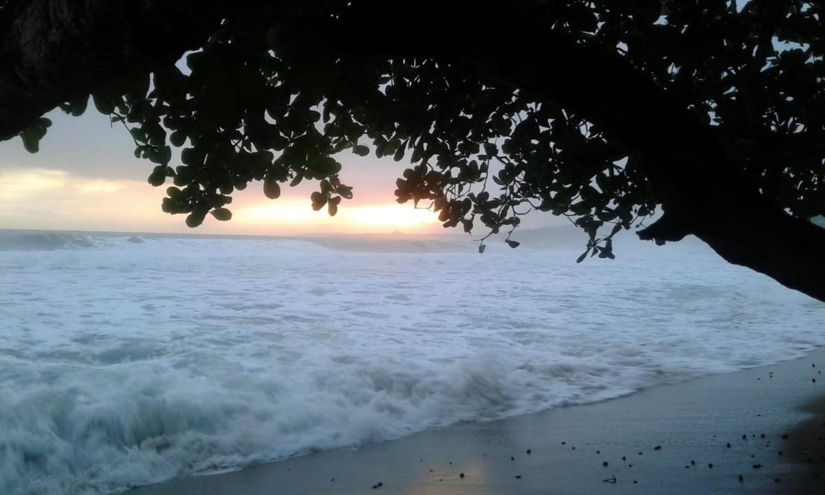 Tasty Dayz Hostel Puerto Viejo de Talamanca Ngoại thất bức ảnh