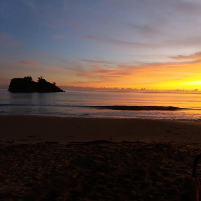 Tasty Dayz Hostel Puerto Viejo de Talamanca Ngoại thất bức ảnh