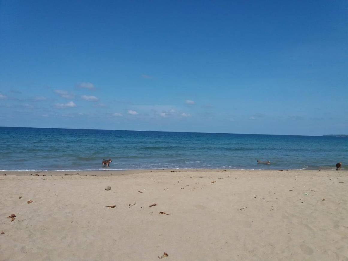 Tasty Dayz Hostel Puerto Viejo de Talamanca Ngoại thất bức ảnh