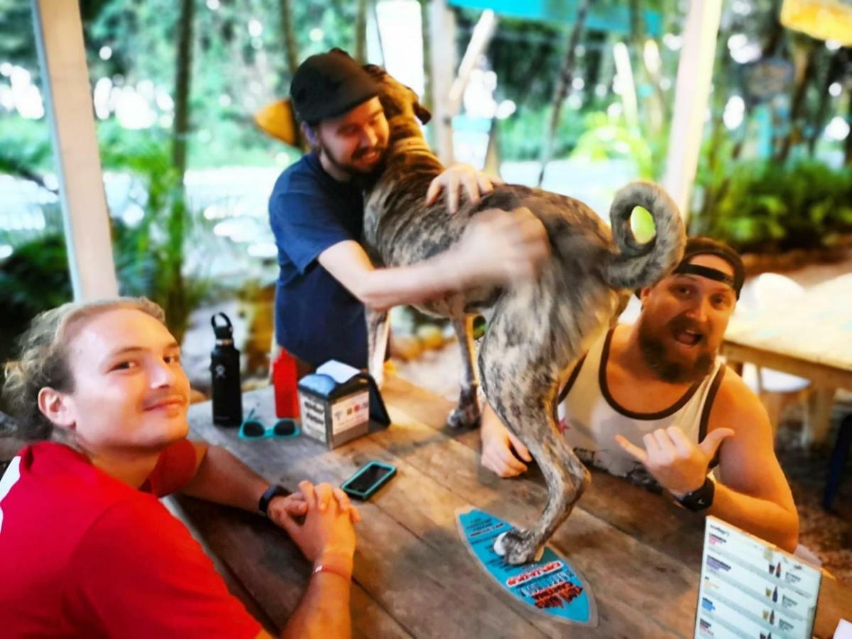 Tasty Dayz Hostel Puerto Viejo de Talamanca Ngoại thất bức ảnh