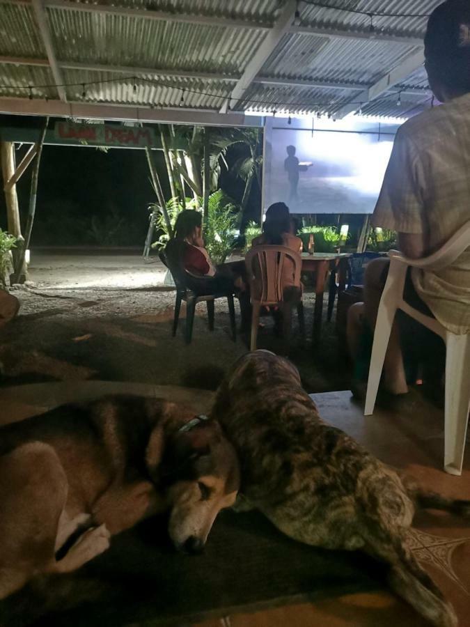 Tasty Dayz Hostel Puerto Viejo de Talamanca Ngoại thất bức ảnh
