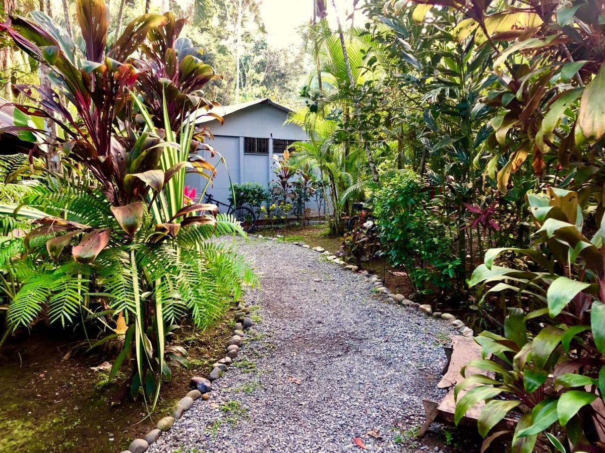 Tasty Dayz Hostel Puerto Viejo de Talamanca Ngoại thất bức ảnh