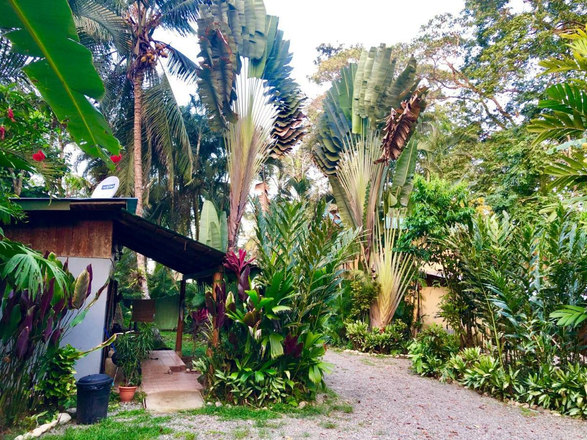 Tasty Dayz Hostel Puerto Viejo de Talamanca Ngoại thất bức ảnh