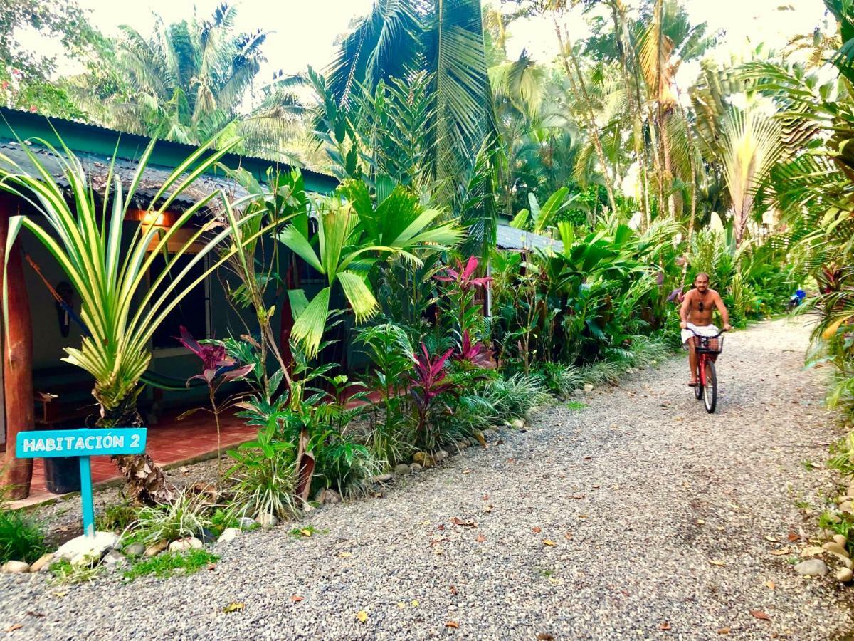 Tasty Dayz Hostel Puerto Viejo de Talamanca Ngoại thất bức ảnh