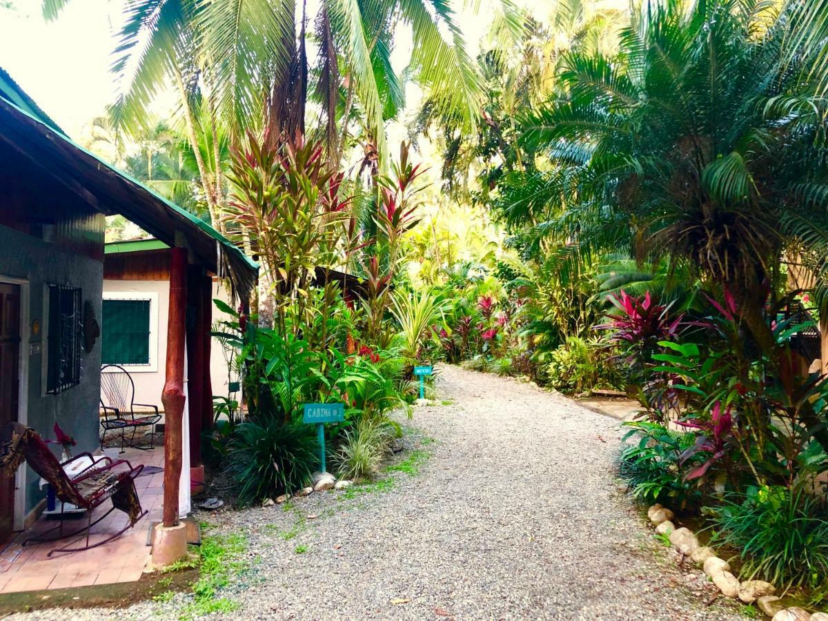 Tasty Dayz Hostel Puerto Viejo de Talamanca Ngoại thất bức ảnh